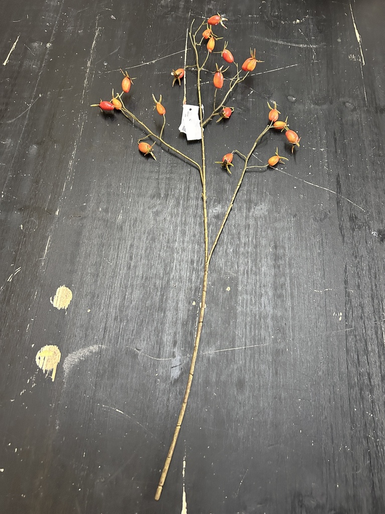 Hagebuttenzweig Orange