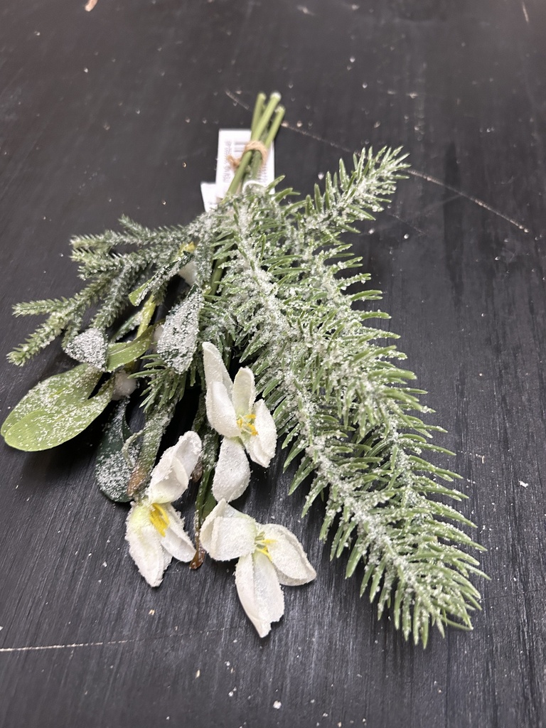 Schneeglöckchen Sträußchen geeist