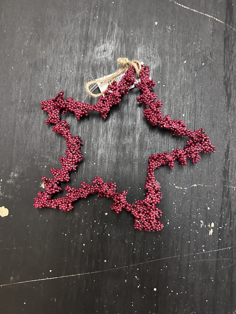 Stern mit Vogelbeeren künstlich
