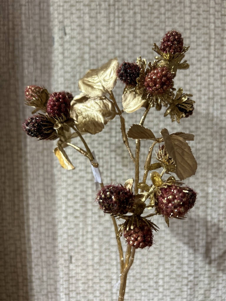 Brombeere, gold /rot