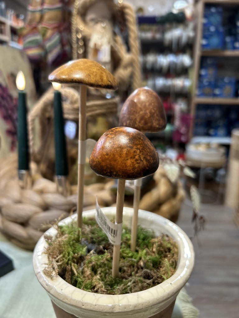 Pilz Stecker 3er Set klein