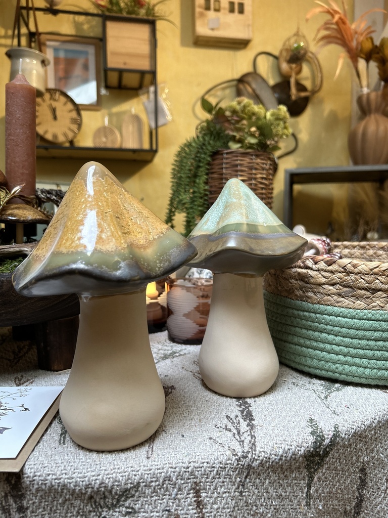 Pilz braun mittel