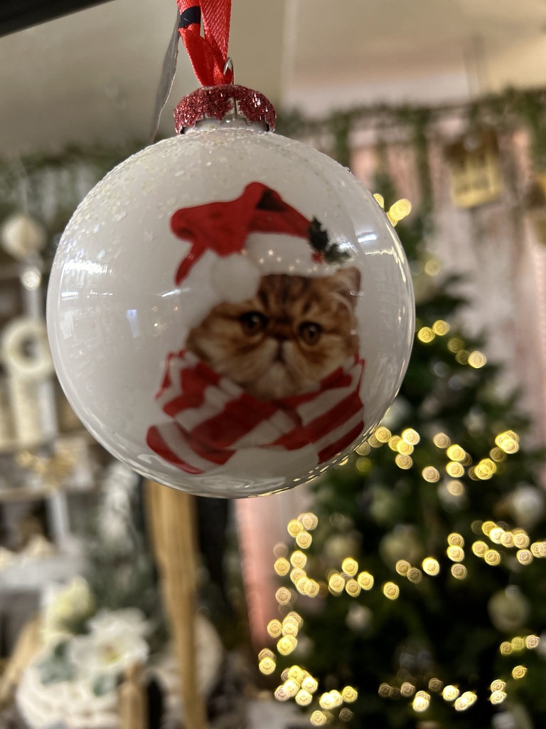 Weihnachtskugel Katze