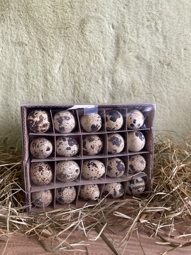 [P0001349] Ostereier 60er (Wachteleier) ausgeblasen