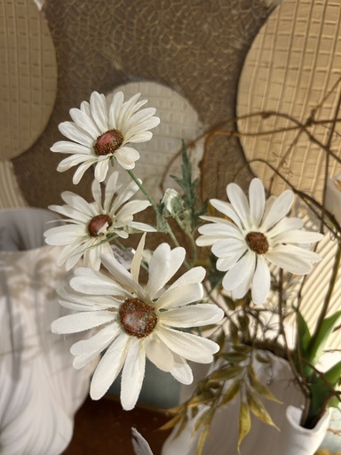 [P0001464] Margariten (weiß)