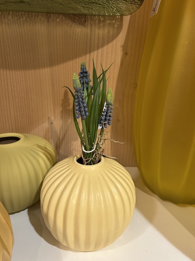 [P0001470] Muscaribund (blau)