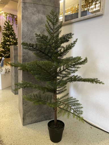[P0001587] Weihnachtsbaum im Topf