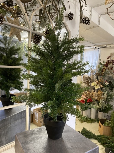 [P0001589] Weihnachtsbaum