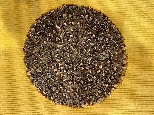 Platzset aus Federn