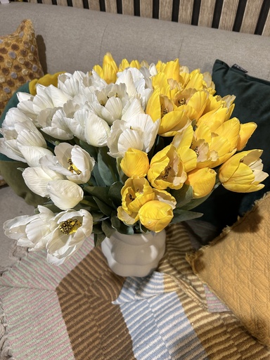 Tulpenbund (5er)