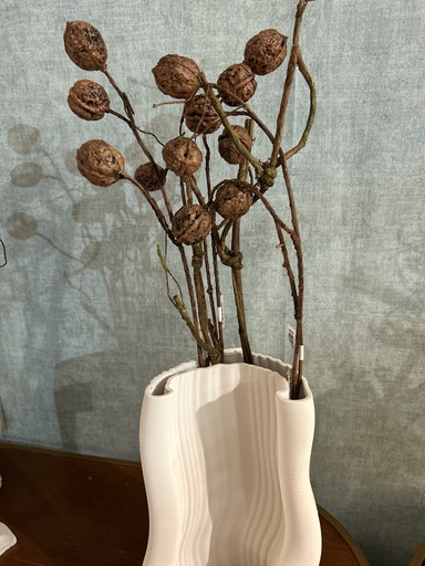 [P0001779] Walnusszweig