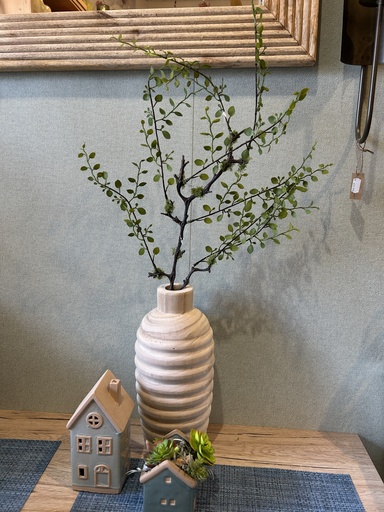 [P0001785] Mühlenbeckia-Zweig