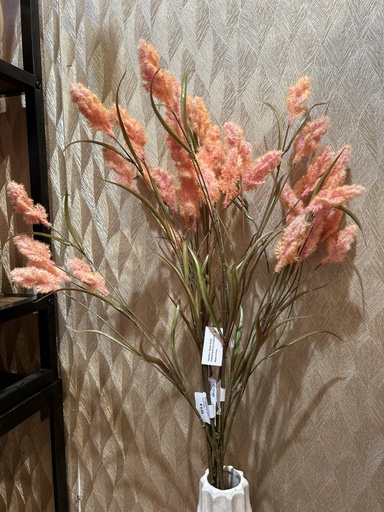 [P0001789] Solidagozweig