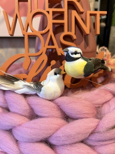 Feder Vogel