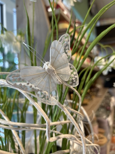 [P0001800] Feder Schmetterling weiß