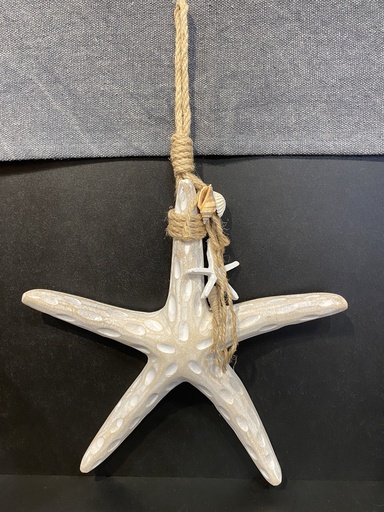 [P0001922] Seestern weiß gebleicht