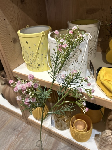 [P0002036] Schleierkraut rosa