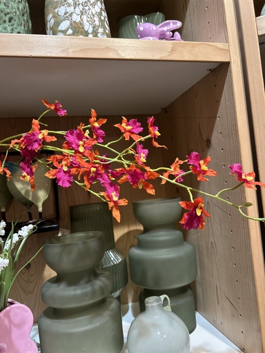 [P0002044] Epidendrum