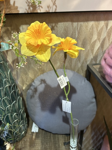 [P0002046] Narzisse gelb