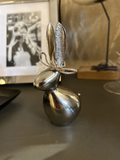 [P0002050] Hase (silber)