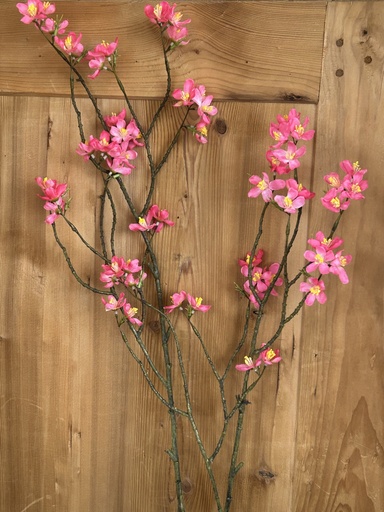 [P0002117] Kirschblütenzweig rosa