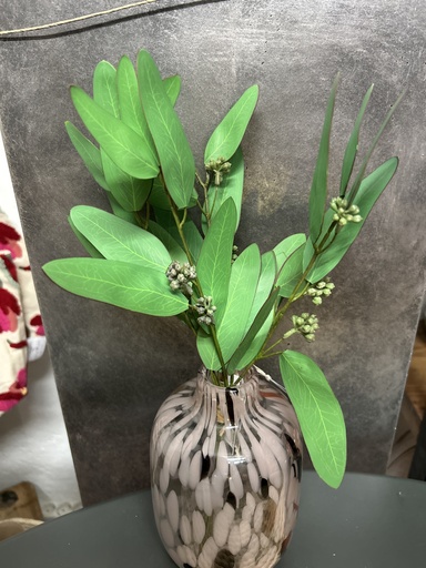 [P0002224] Eukalyptusbund mit Früchten