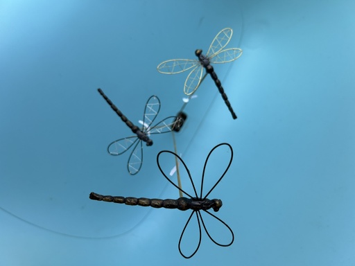 Libelle klein auf Stab