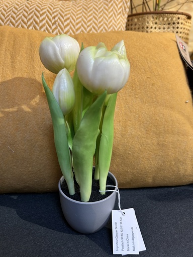[P0002372] Tulpentopf weiß