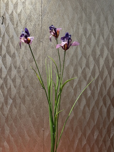 [P0002397] Miniiris mit Gras (lila)