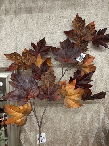 [P0002476] Ahornblattzweig