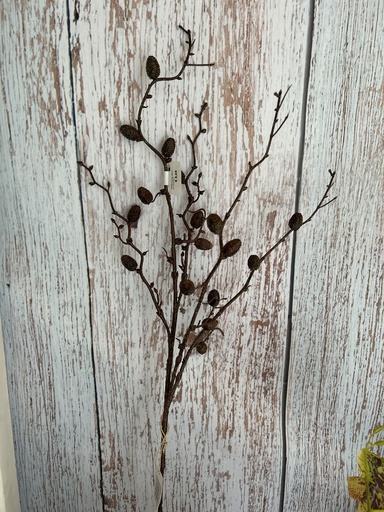 [P0002498] Zapfenzweig dunkelbraun