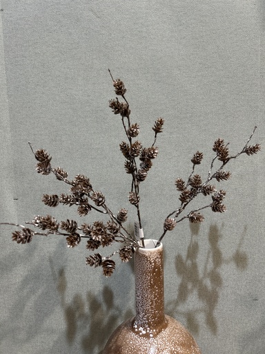 [P0002570] Zapfenzweig