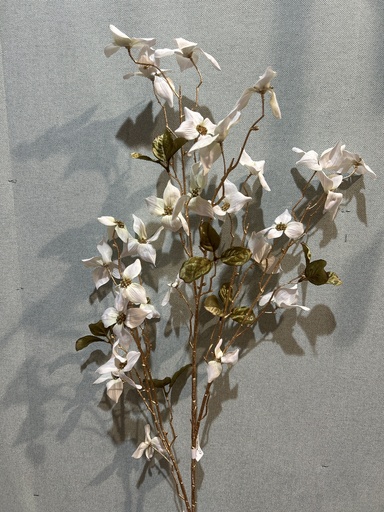 [P0002571] Cornus weiß, 118 cm