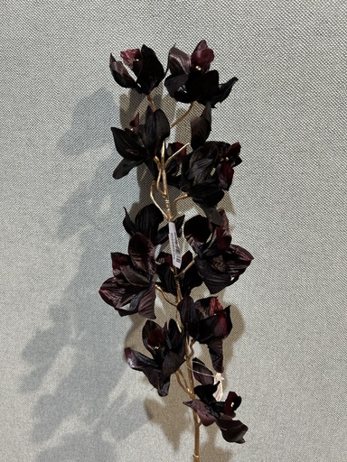 [P0002572] Cymbidie dunkelrot