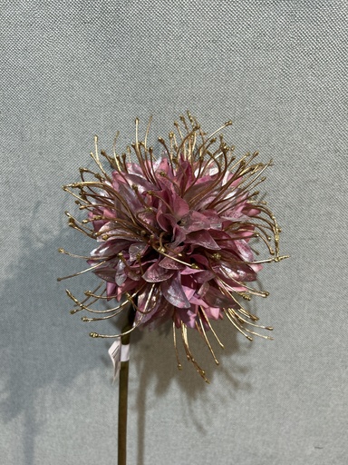 [P0002574] Monarda, lila-gold