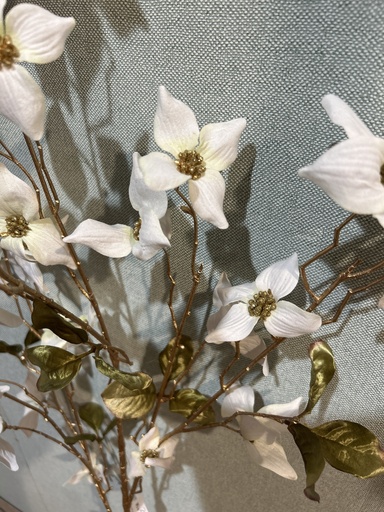 [P0002579] Cornus weiß, 68 cm