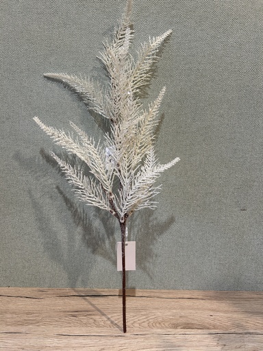 [P0002593] Farnzweig naturweiß