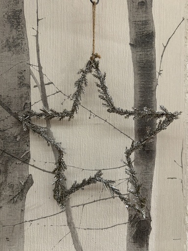 [P0002736] Weihnachtsstern silber