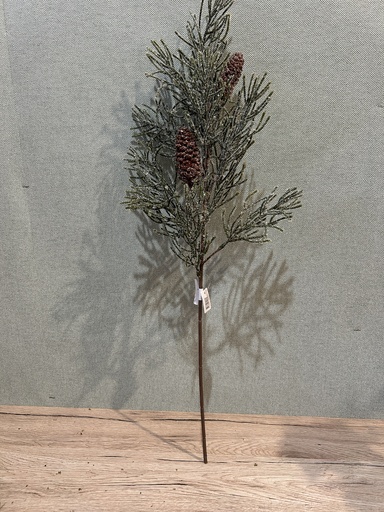 [P0002825] Kiefernzweig mit Zapfen geeist