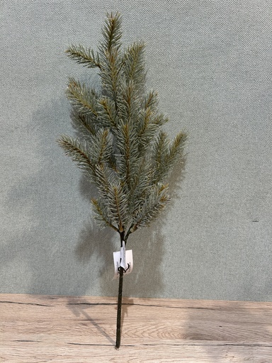 [P0002826] Blaufichtenzweig grau