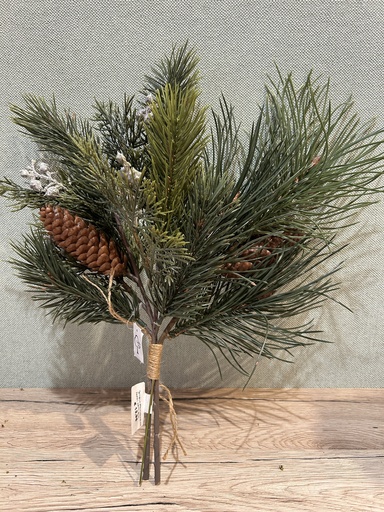 [P0002829] Tannen/Kiefernmixbund mit Zapfen