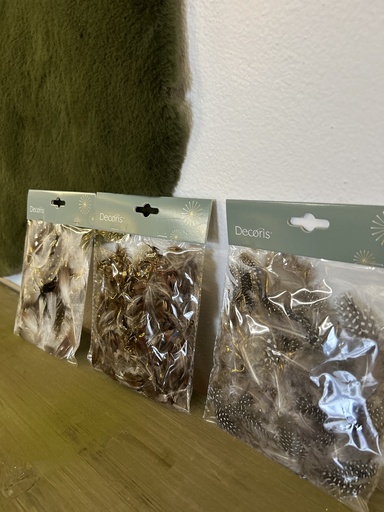 Perlhuhn-Hühnerfedern