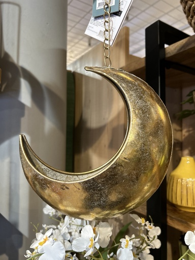 Hängeornament Eisen zum Befüllen