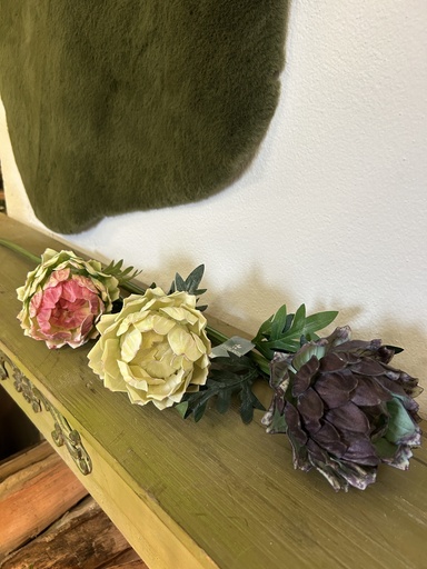 Artischocke am Stiel