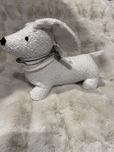 [P0003310] Hund mit Halstuch