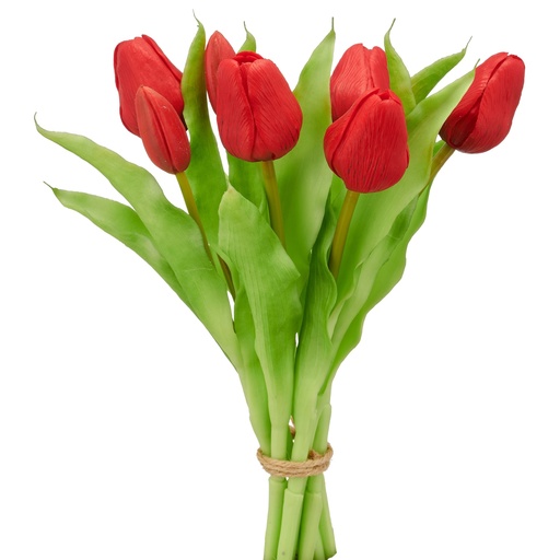 [P0003331] Tulpenbund rot