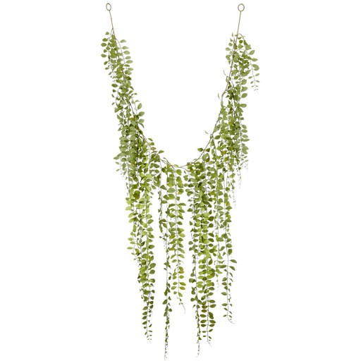 [P0003338] Columnea Girlande