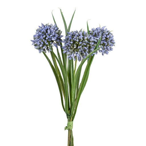 [P0003340] Allium-Grasbund