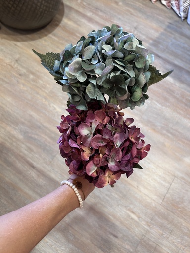 Gartenhortensie