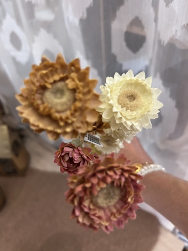 Strohblume